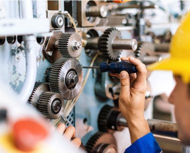 WhatsApp Image 2026-01-11 at 11.20.06 (1)